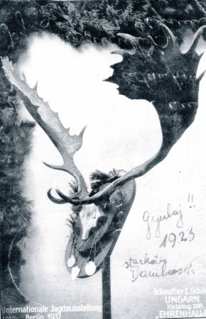 A trófeát, mely több érmet is szerzett, 1937-ben, a berlini nemzetközi vadászati kiállításon a bírálóbizottság világrekordnak nyilvánította