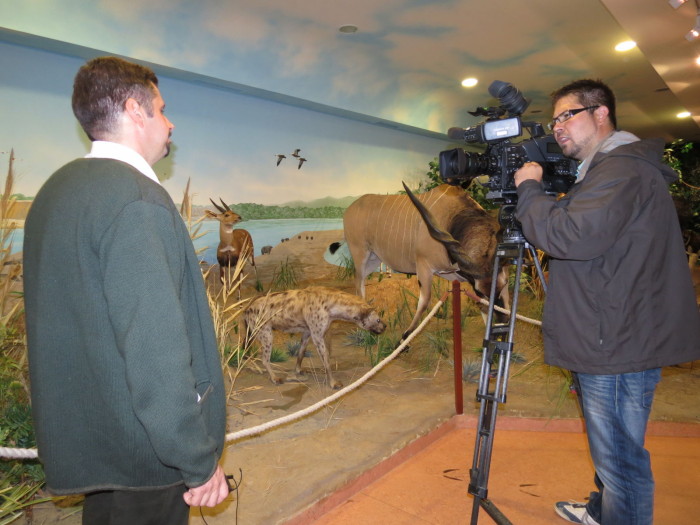A Vadászati Múzeumban a látogatókat az öt földrész vadvilágát felölelő gyűjteménye fogadta