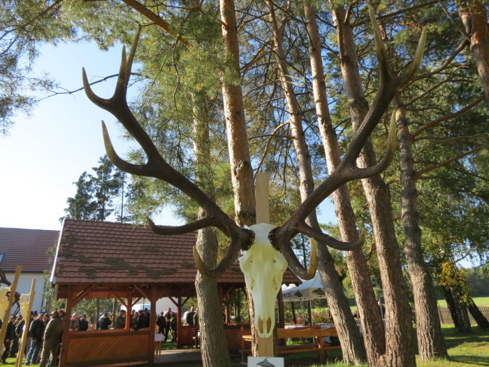 Október 4-én, a Devecseri Erdészetének Sárosfői vadászházánál tartotta meg a BAKONYERDŐ Zrt. hagyományos trófeaszemléjét, ahova meghívást kapott a Hazai Vadász stábja is